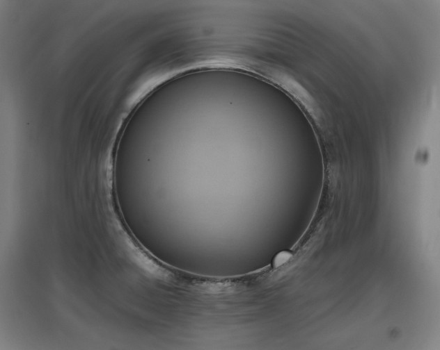 X0000096961428200802151225