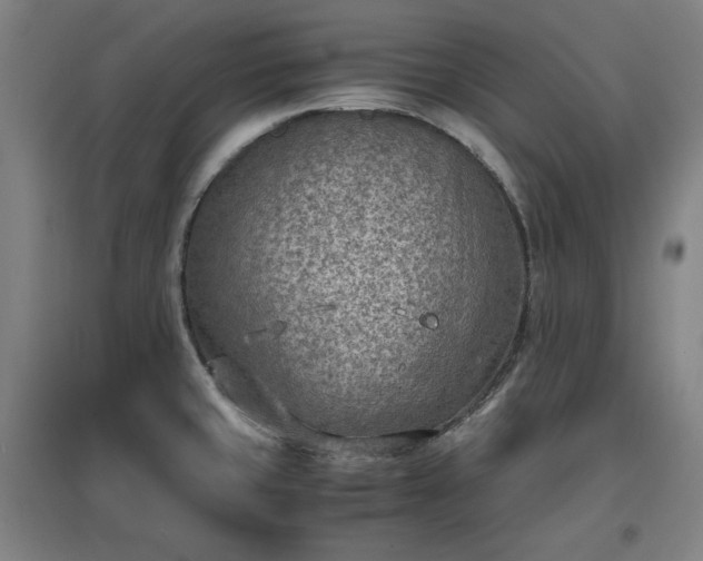 X0000096961429200802151225