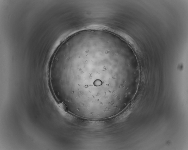 X0000096961430200802151225