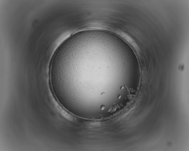 X0000096961431200802151225