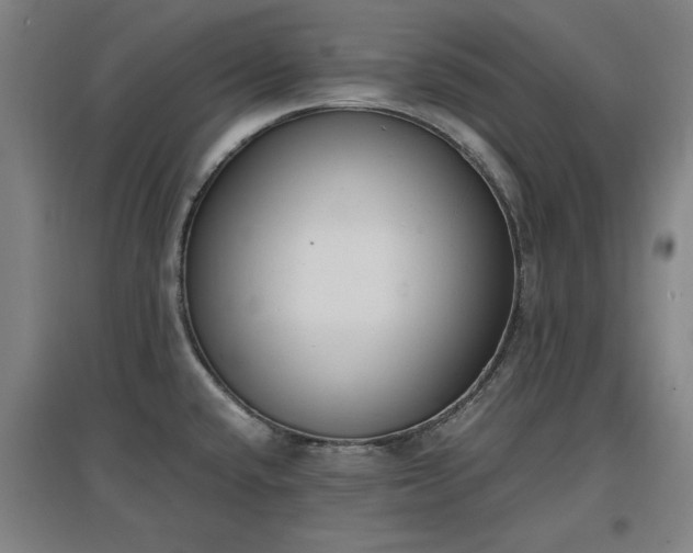 X0000096961432200802151225