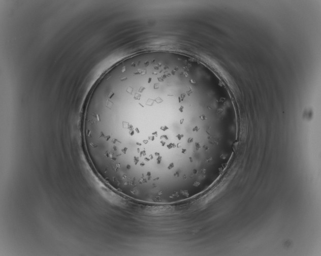 X0000096961434200802151225