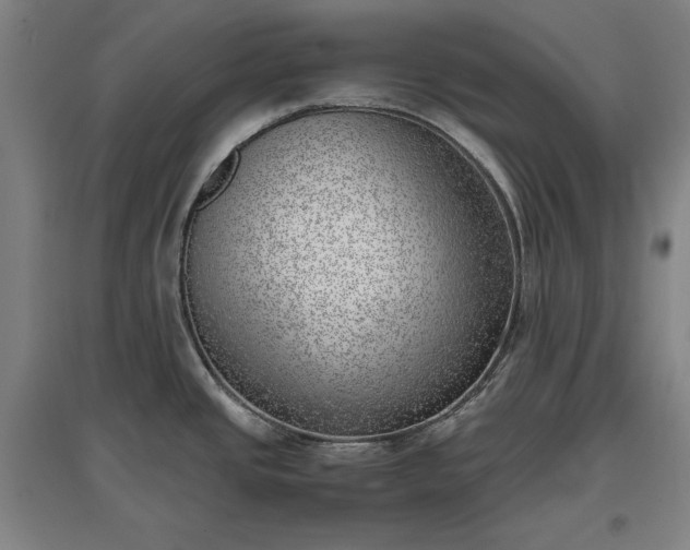 X0000096961437200802151225