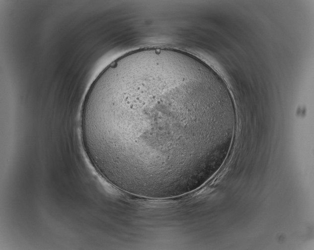 X0000096961440200802151225