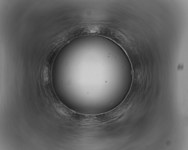 X0000096961442200802151225