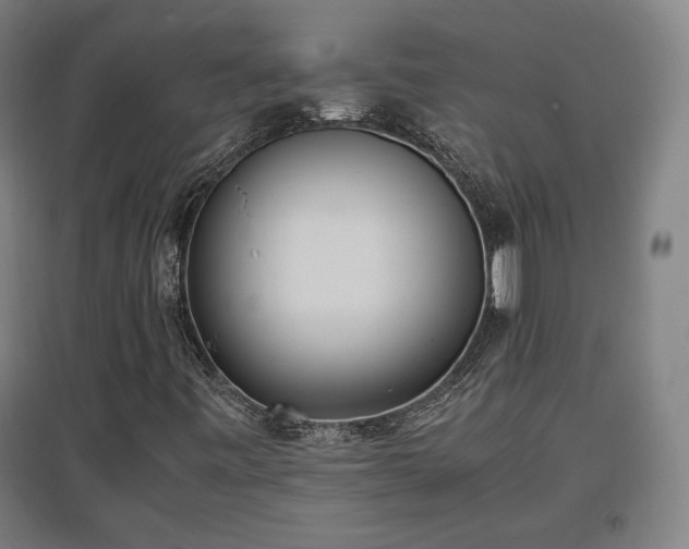 X0000096961443200802151225