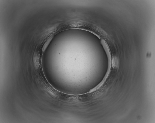 X0000096961444200802151225