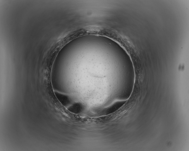 X0000096961445200802151225