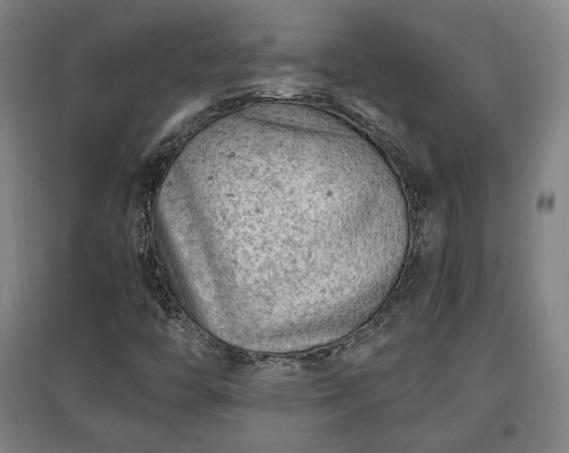 X0000096961446200802151225