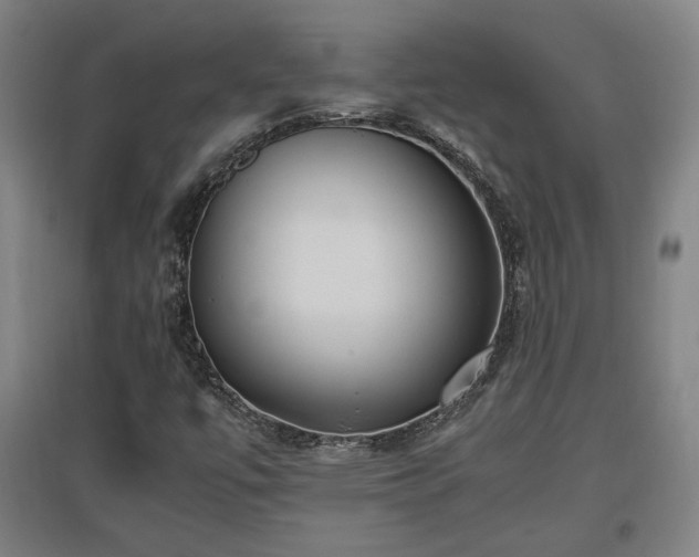 X0000096961447200802151225