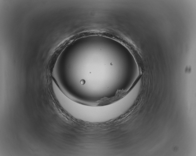 X0000096961448200802151225