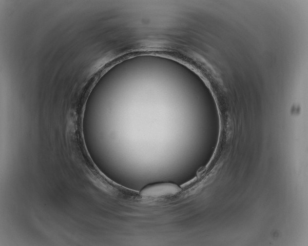 X0000096961449200802151225