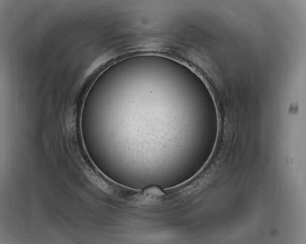 X0000096961450200802151225