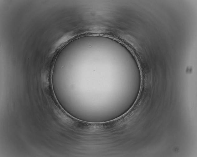 X0000096961451200802151225