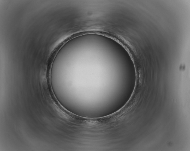 X0000096961452200802151225