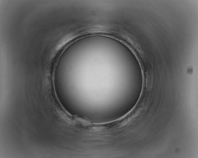 X0000096961453200802151225