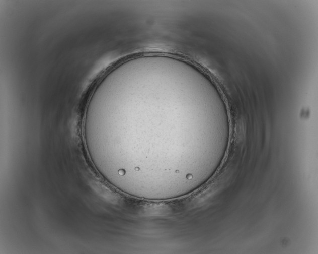 X0000096961454200802151224