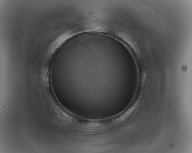 X0000096961455200802151224