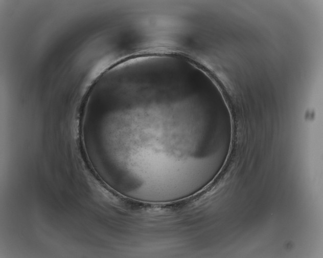 X0000096961459200802151224