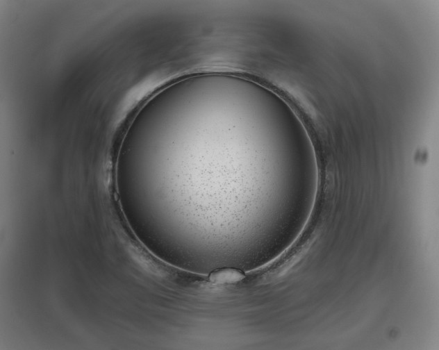 X0000096961461200802151224