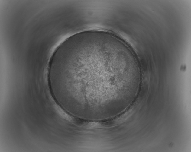 X0000096961463200802151224