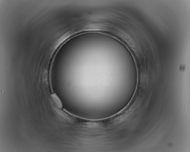 X0000096961465200802151224