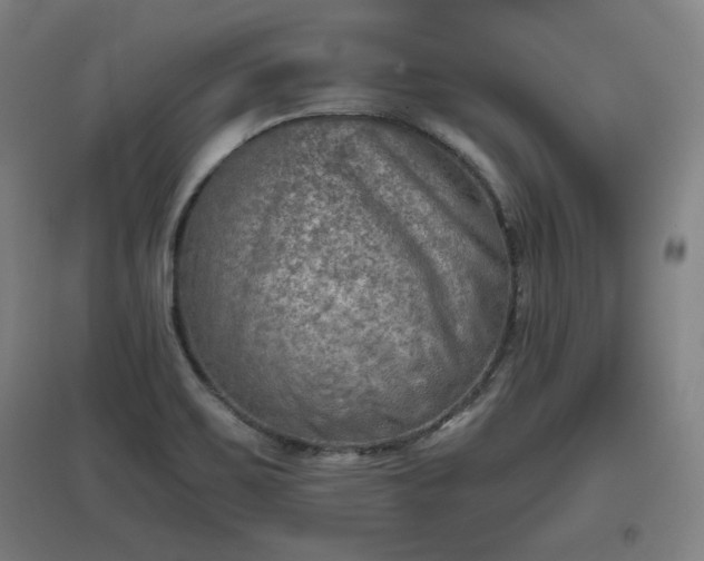 X0000096961467200802151224