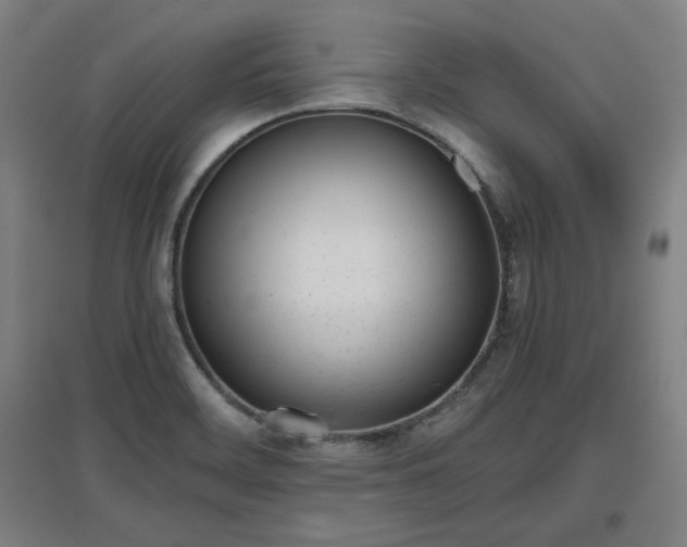 X0000096961468200802151224