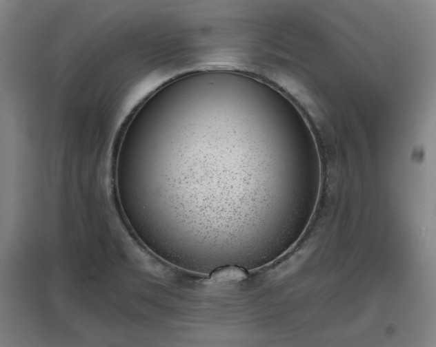 X0000096961469200802151224