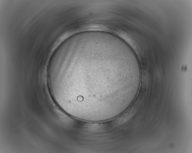 X0000096961474200802151224