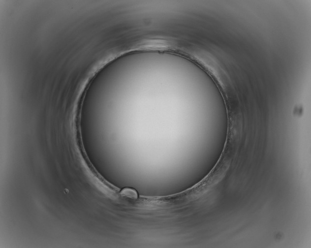 X0000096961475200802151224