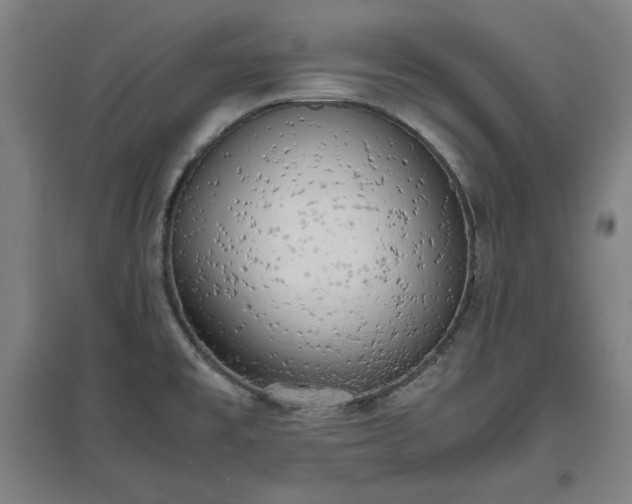 X0000096961477200802151224