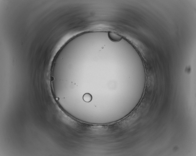 X0000096961478200802151224