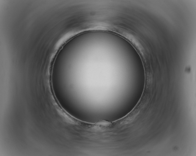 X0000096961480200802151224