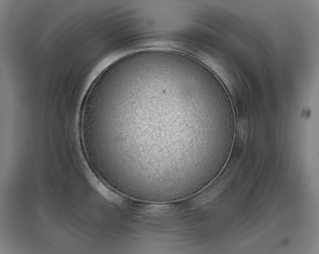 X0000096961482200802151224