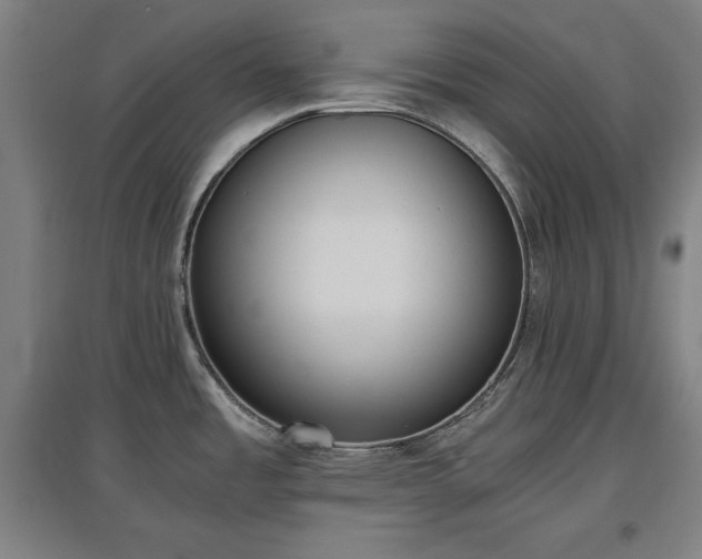 X0000096961485200802151224