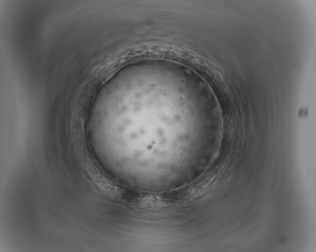 X0000096961489200802151223