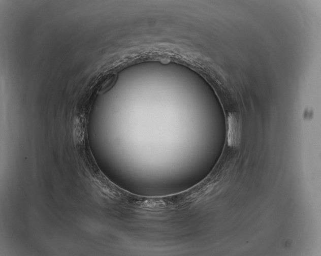 X0000096961491200802151223