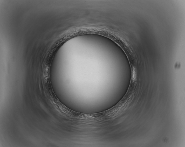 X0000096961492200802151223