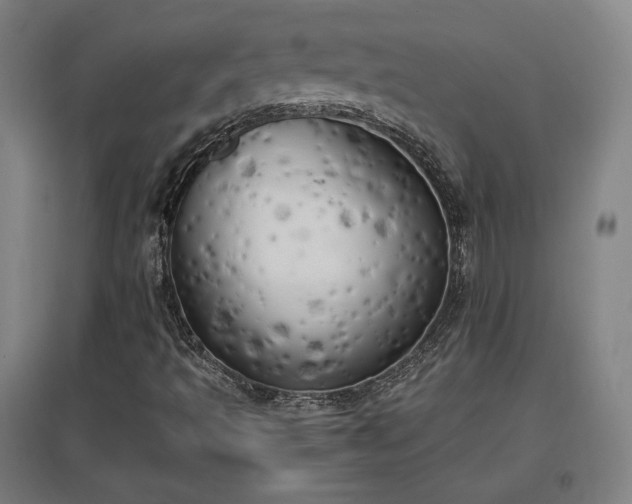 X0000096961493200802151223