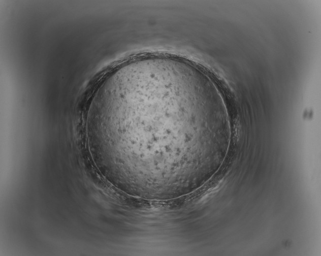 X0000096961494200802151223