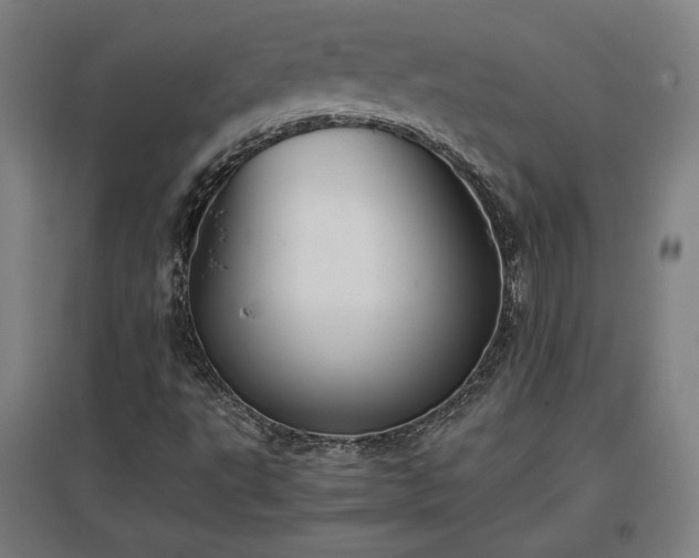 X0000096961495200802151223