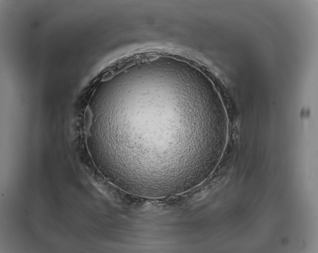 X0000096961496200802151223