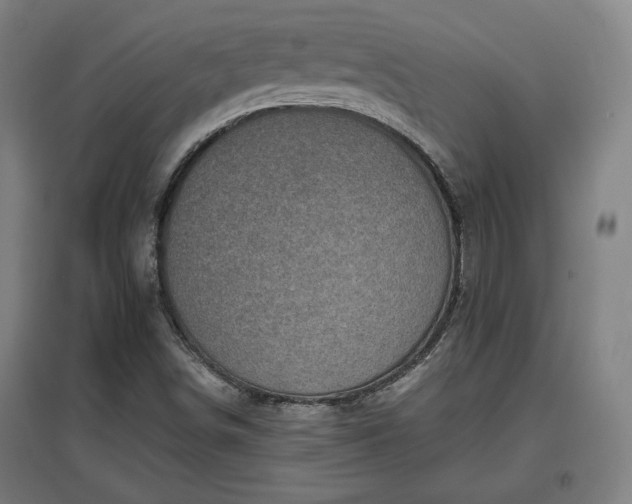 X0000096961498200802151223