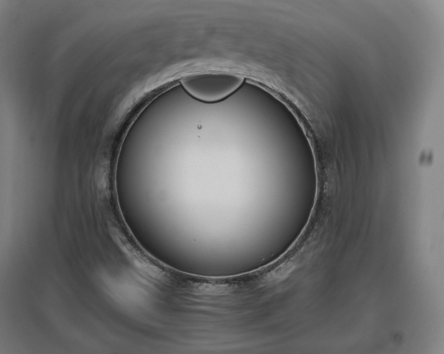 X0000096961499200802151223