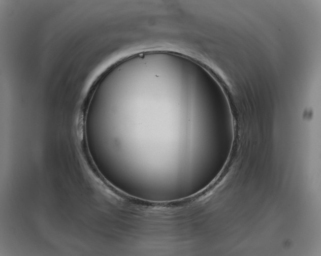 X0000096961510200802151224