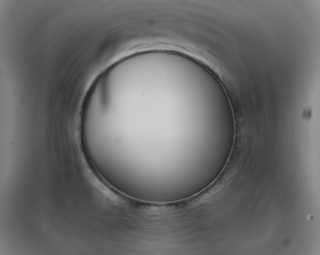 X0000096961518200802151224