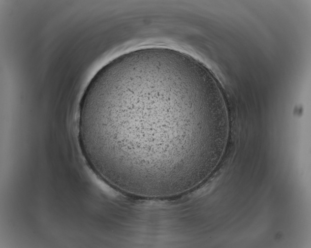 X0000096961519200802151224