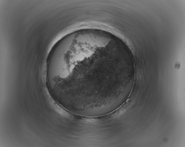 X0000096961522200802151224