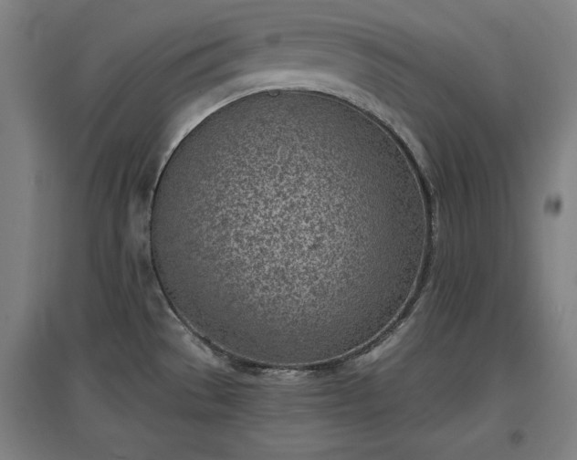 X0000096961529200802151224